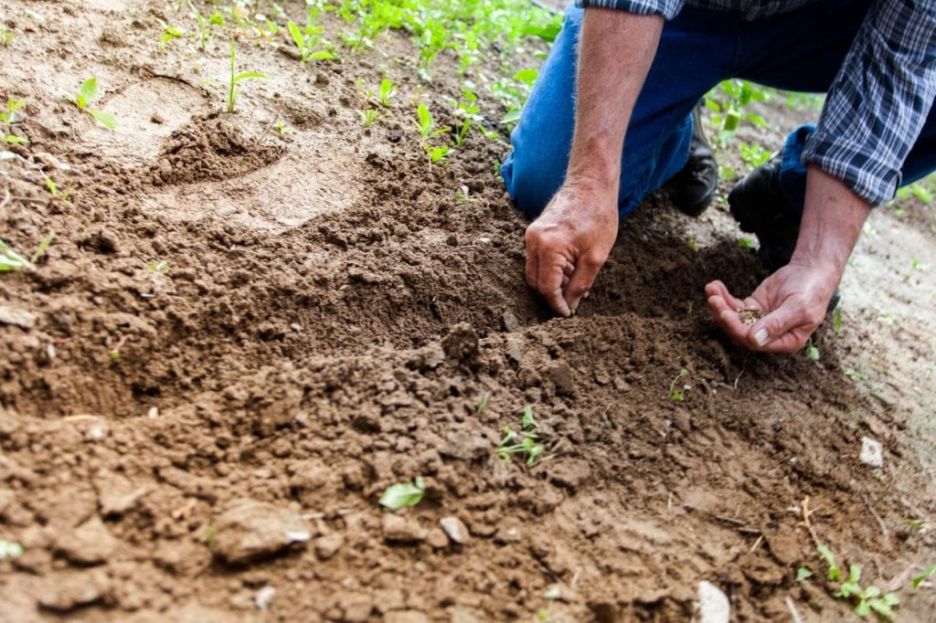 Roundup Cancer Lawsuit Attorney Roundup Cancer Lawsuit Attorney